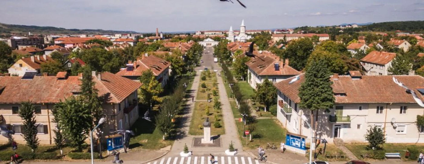 stei