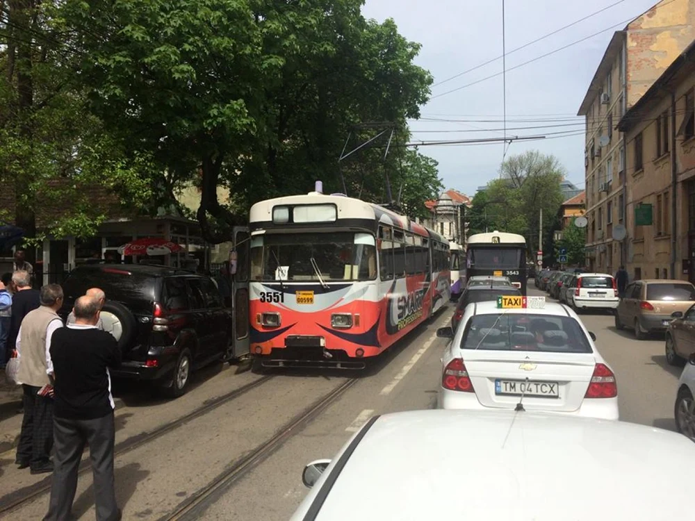 Circulaţia tramvaielor a fost blocată în centrul Timişoarei de un bizon FOTO Casian Lup