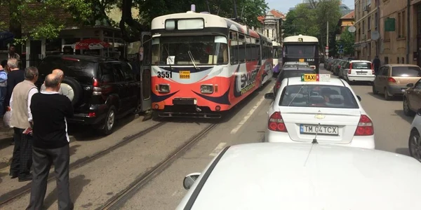 Bizon Timisoara FOTO Casian Lup