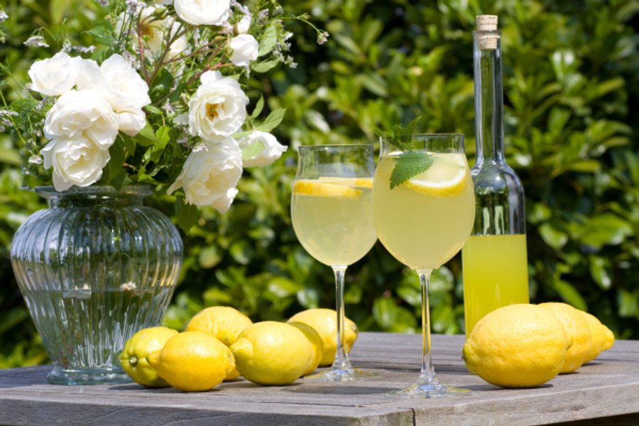 De ce grecii nu fac limonadă, deși toată Grecia e plină de lămâi: „Nu ați văzut că...”