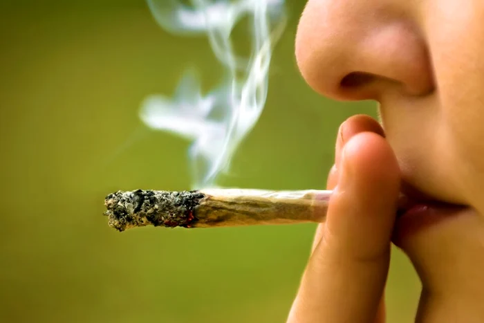 Țigară marijuana. FOTO earth.com