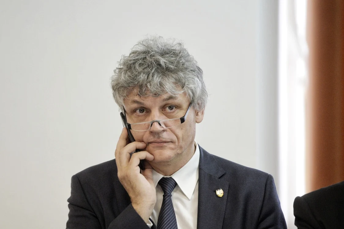 Senatorul Liviu Brailoiu  / MEDIAFAX FOTO