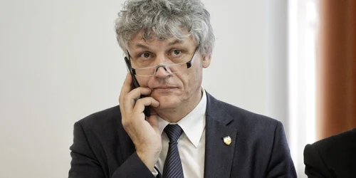 Senatorul Liviu Brailoiu / MEDIAFAX FOTO