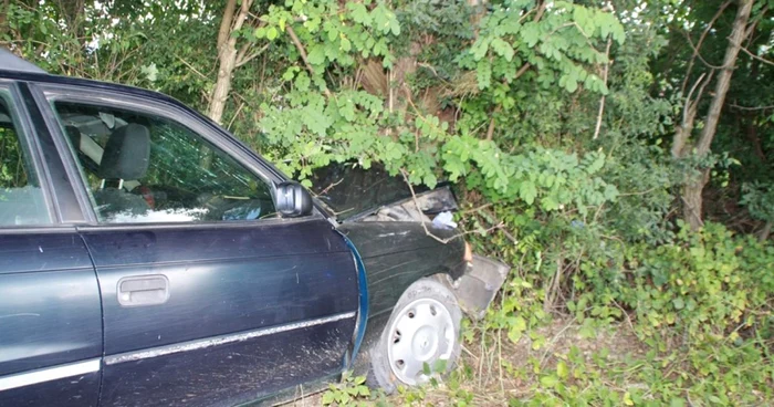 Autoturismul s-a oprit într-un copac de pe marginea drumului FOTO: Bianca Sara