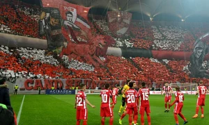 fani dinamo galerie jpg