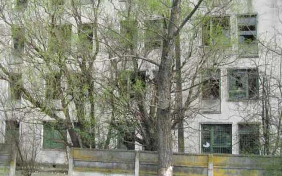 Sediul de drept al Poliţiei Locale din Piteşti arată ca după bombardament