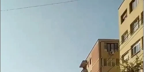 cal in trafic. foto arhiva personala