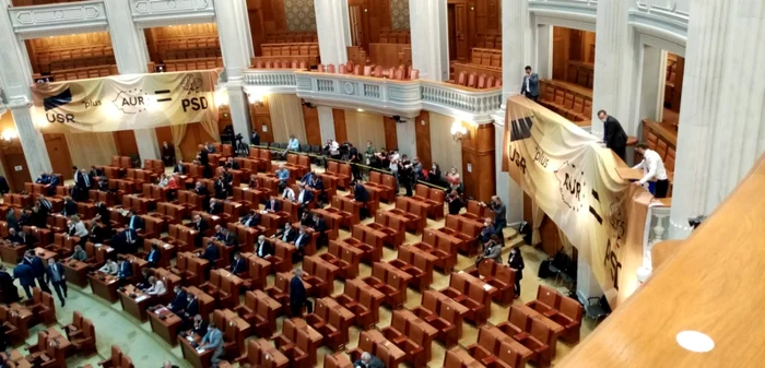 Liberalii pun bannere in Parlament