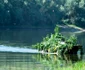 Soldaţii ruşi participă alături de cei transnistreni la exerciţii de traversare a Nistrului FOTO novostipmr_com