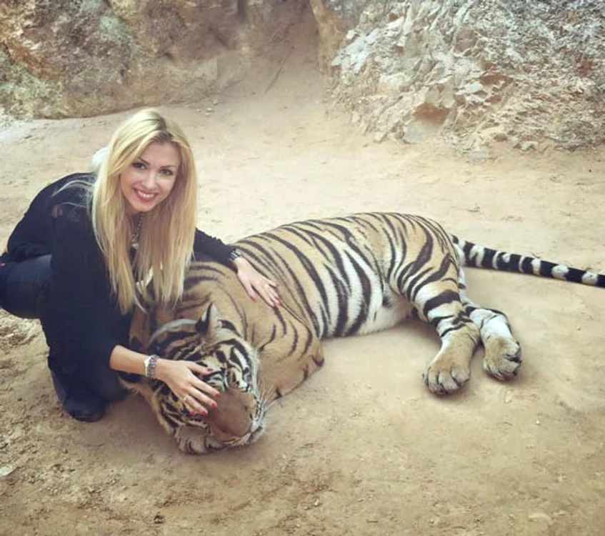 
    Andreea Bălan s-a jucat cu tigrii în vacanța din BangkokFOTO: Arhiva personală  