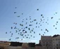 cluj