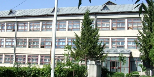 scoala petru rares harlau