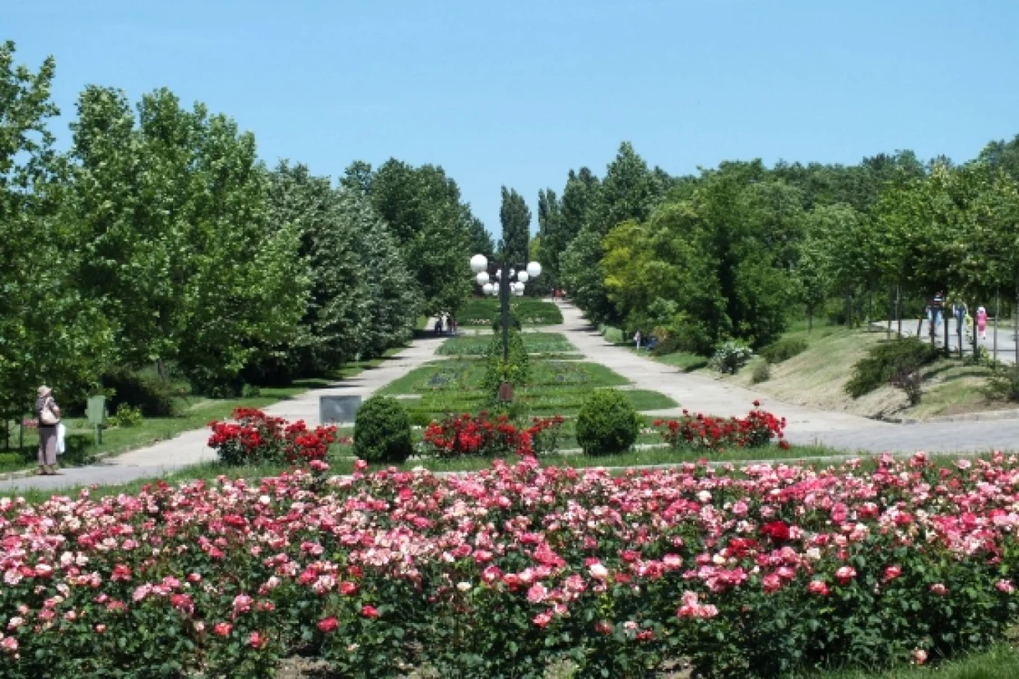 Descoperire şocantă în Grădina Botanică