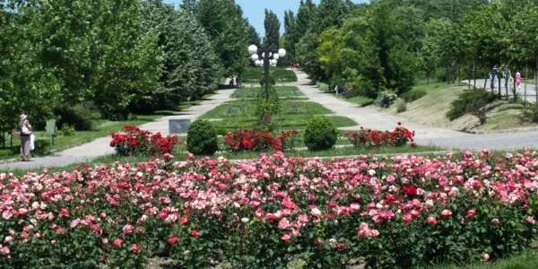 gradina