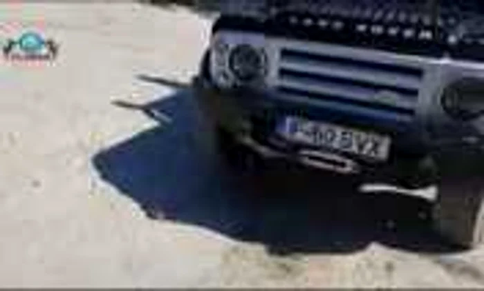 Cocalar pe plaja din Mamaia
