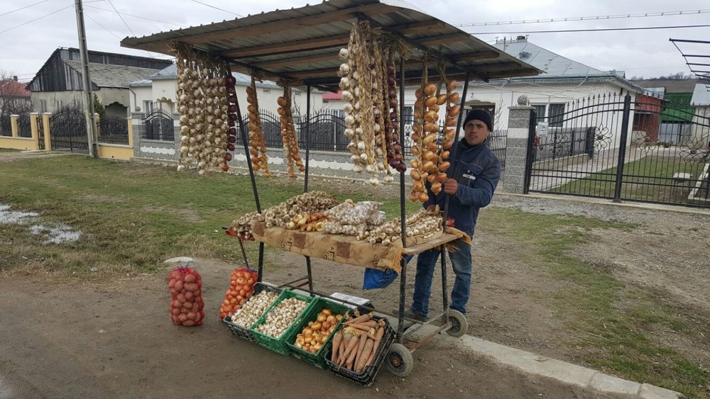 Usturoiul de Copălău, marcă ratată de frica asocierii. „Le e teamă de CAP-uri“