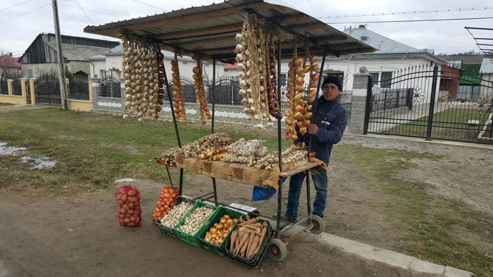 Nu sunt mulţi fermierii dispuşi să investească în cultura de ustuori FOTO: arhiva Adevărul