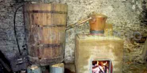 Satu Mare: Agricultură nerentabilă-Revista presei locale