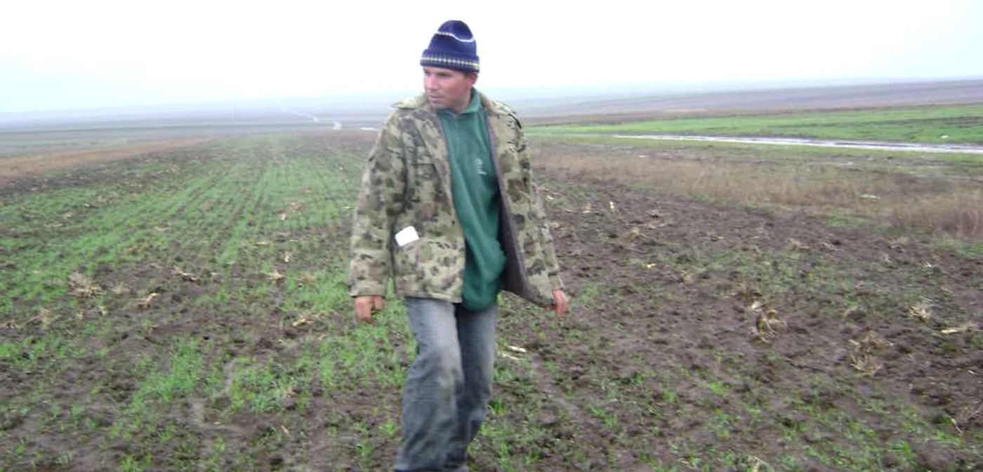 Agricultorii primesc de la stat 47 de euro pentru fiecare hectar