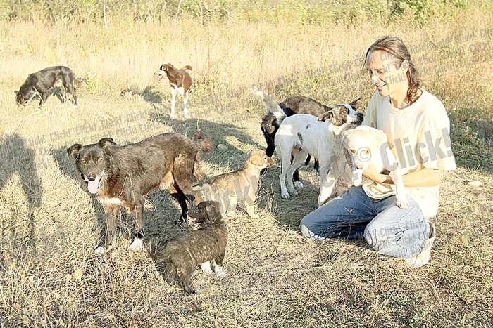 Tunari: Cu ajutorul cititorilor  Click!, Cornel a închiriat  un camion şi şi-a luat  căţeii din complexul  de la marginea Capitalei (Fotografii: Dorin Constanda)