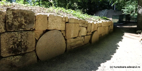 Saemizegetusa Regia Foto Daniel Guță ADEVĂRUL (6) JPG