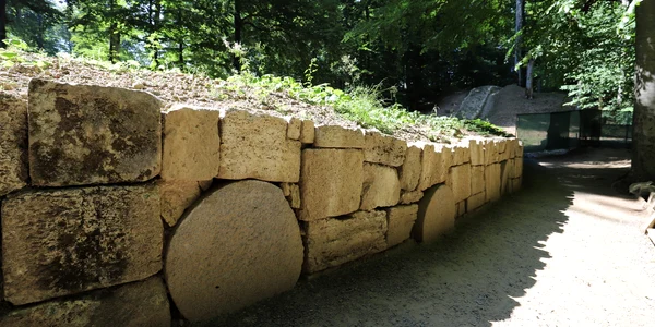 Saemizegetusa Regia  Foto Daniel Guță ADEVĂRUL (6) JPG