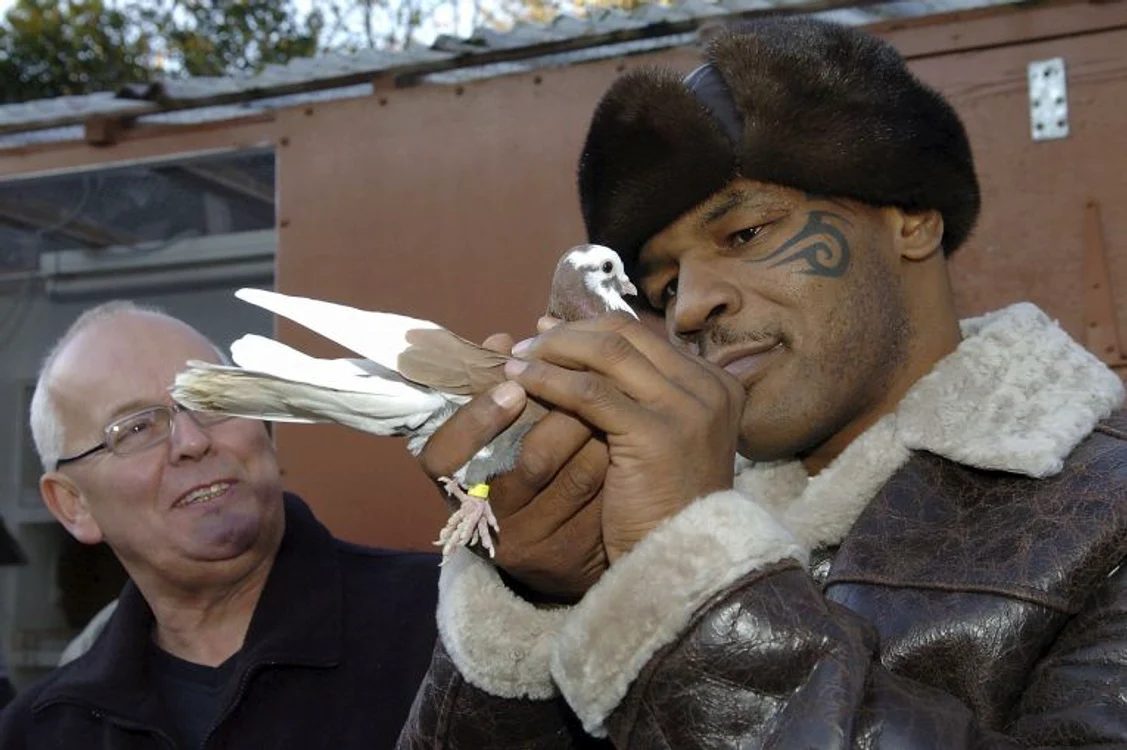 
    Mike Tyson s-a apucat de crescut porumbei după ce a ieșit de la închisoareFoto: Guliver/ GettyImages  