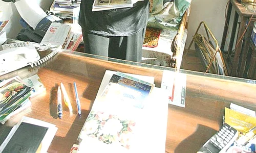 Stela Popescu se mândrea  cu superba ei casă  Actriţa  a murit în toamna anului trecut jpeg