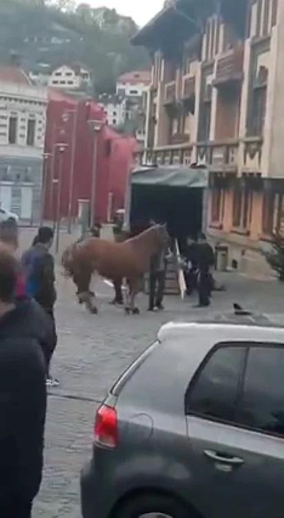Un cal a fost bătut să urce în camion după Parada Junillor FOTO Daniela Susa