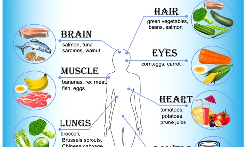 alimente organe jpg