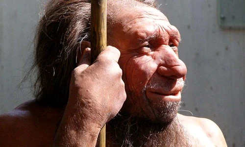 Descoperire neașteptată despre omul de Neanderthal  Ce au realizat cercetătorii după ce i au reconstruit coloana vertebrală şi cutia toracică jpeg