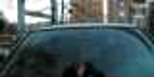 Acesta este câinele decapitat care i-a şocat pe locuitorii din centrul Reșiței