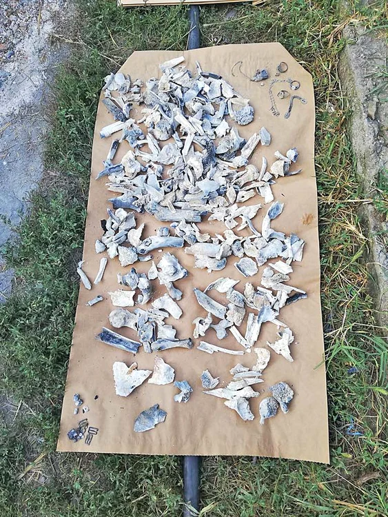 Probele au ajuns la Institutul Național de Medicină Legală