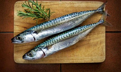 macrou istock jpg