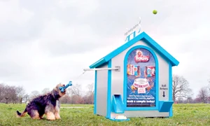 Papa pentru catei (Fotografii: photoland/caters) jpeg