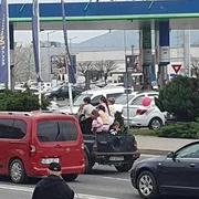 copii in remorca foto Alba iulia Non Stop 2 jpg