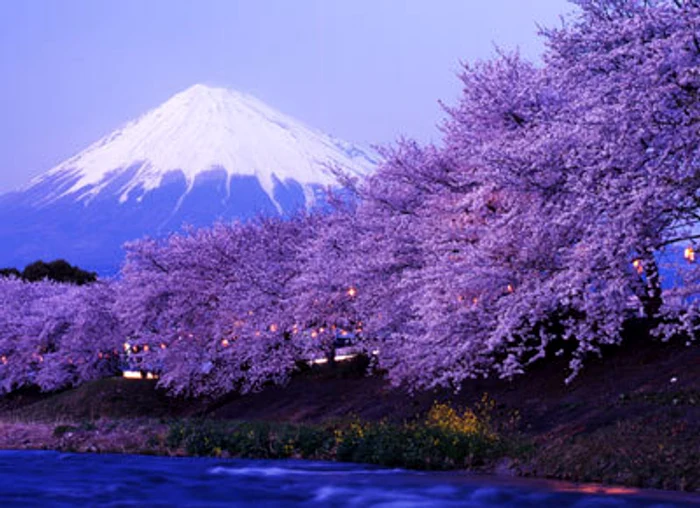 Tot mai mulţi europeni renunţă la vacanţa de vară