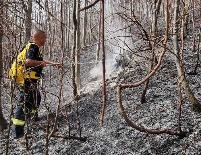 Incendiu Valea Doftanei. FOTO ISU Prahova