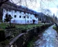 Rușchița  Foto Daniel Guță  ADEVĂRUL (35) jpg
