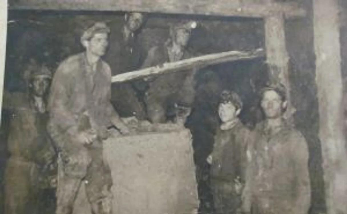 Mineri în anul 1980