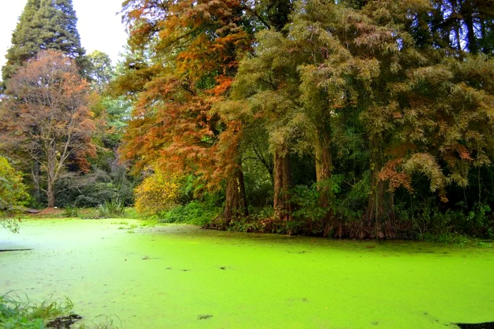 În parc au fost filmate mai multe cadre din „Dumbrava minunată” FOTO www.informatii-romania.ro