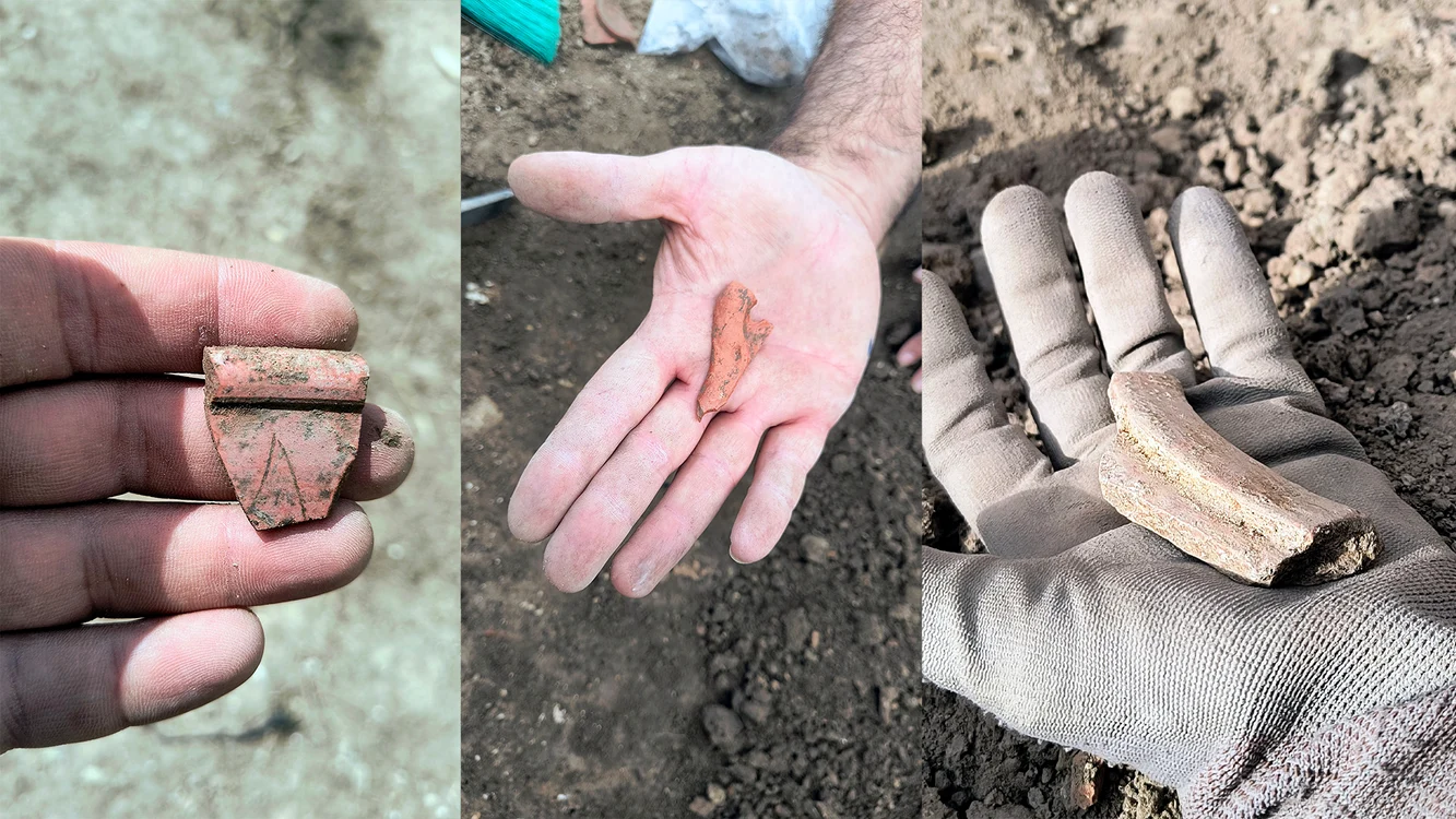 Fragmente de ceramică descoperite în timpul săpăturilor arheologice de la Sasamón