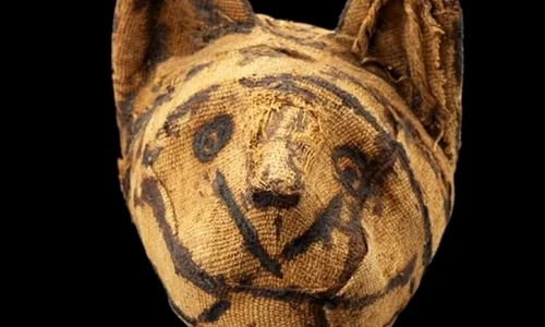 Milioane de animale erau mumificate în Egiptul Antic jpeg