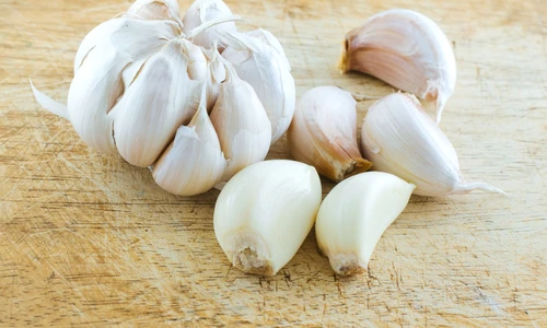 Garlic jpeg