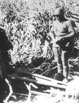 Artilerie sovietică pe Frontul de Est (© Wikimedia Commons)
