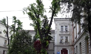 Colegiul National Mihai Eminescu, Oradea, Facebook jpg