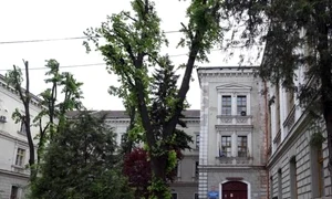 Colegiul National Mihai Eminescu, Oradea, Facebook jpg