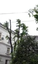 Colegiul National Mihai Eminescu, Oradea, Facebook jpg