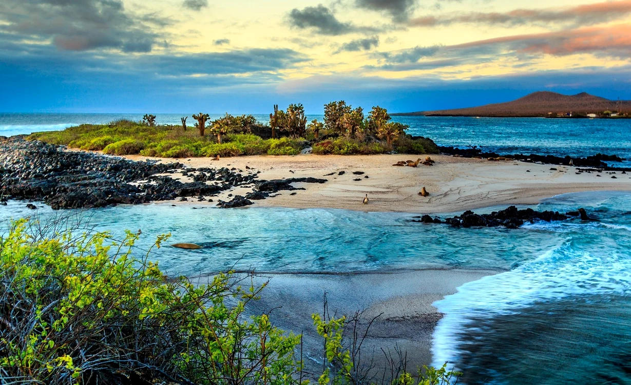 Insulele Galápagos trebuie vizitate în 2025