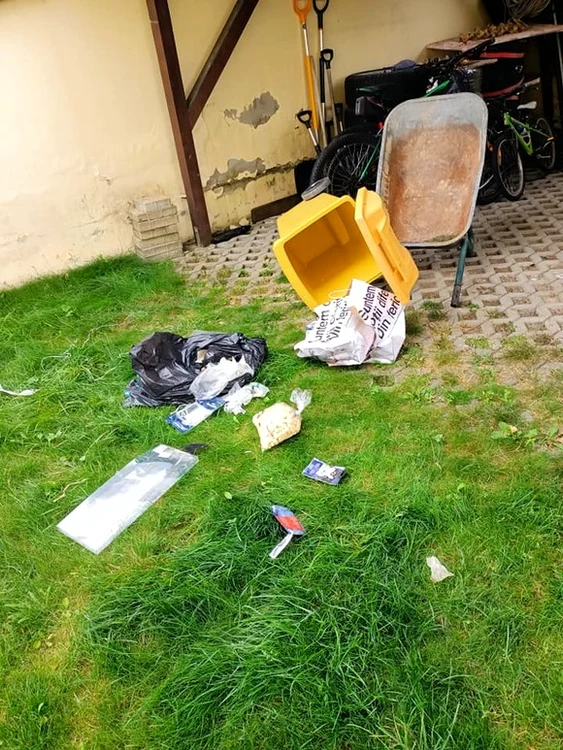 Ursul a cotrobăit prin toată curteaFoto: Facebook